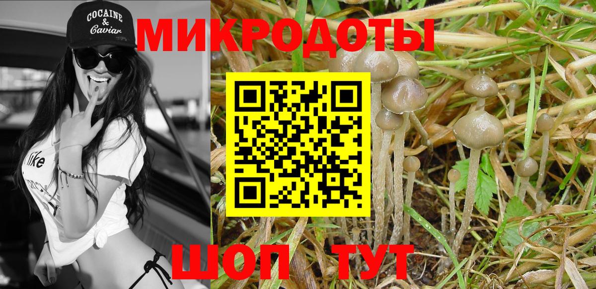 Галлюциногенные грибы Cubensis  Вход с VPN  Галлюциногенные грибы Psilocybine cubensis  цена   Минеральные Воды 